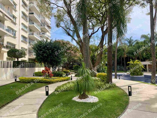 place photo 46