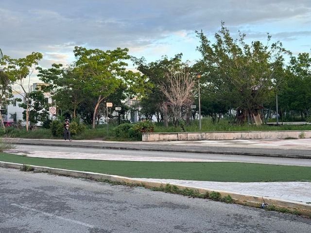place photo 15