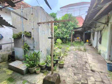 place photo 13
