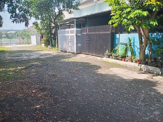 place photo 11