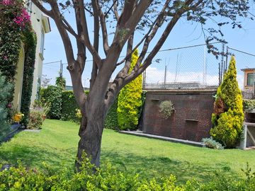 place photo 65