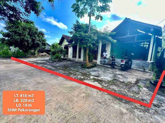 place photo 13