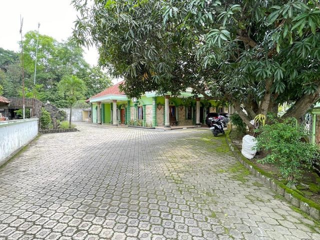 place photo 12