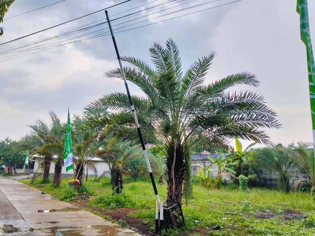 place photo 21