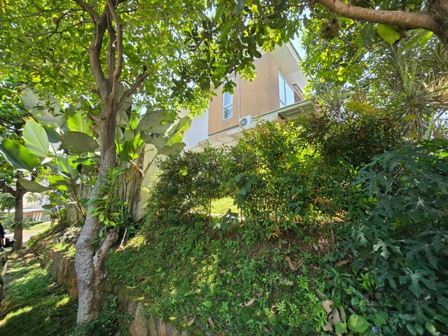 place photo 48
