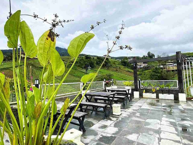 place photo 34