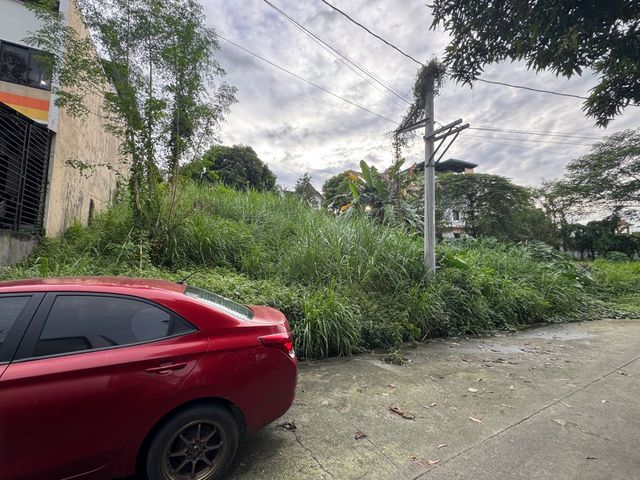 Lot Only For Sale In Monteverde Royal Taytay Rizal
