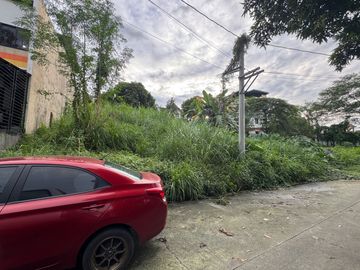 Lot Only For Sale In Monteverde Royal Taytay Rizal