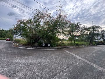 Lot Only For Sale In Monteverde Royal Taytay Rizal