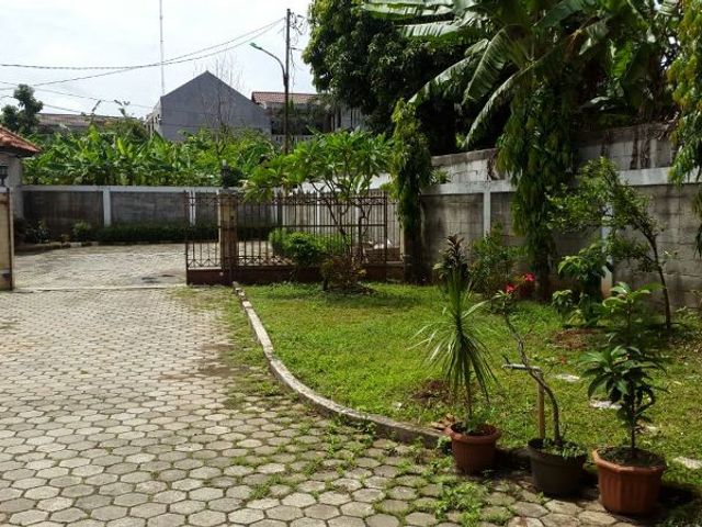 place photo 12
