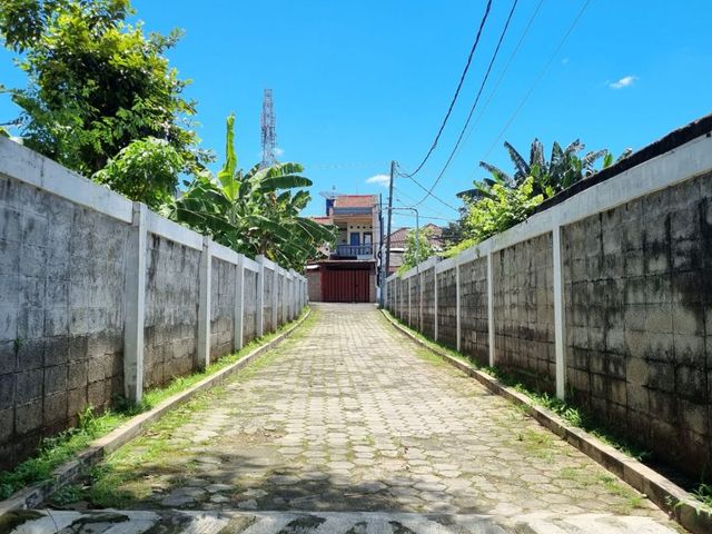 place photo 20