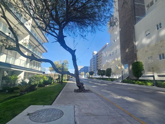 place photo 44