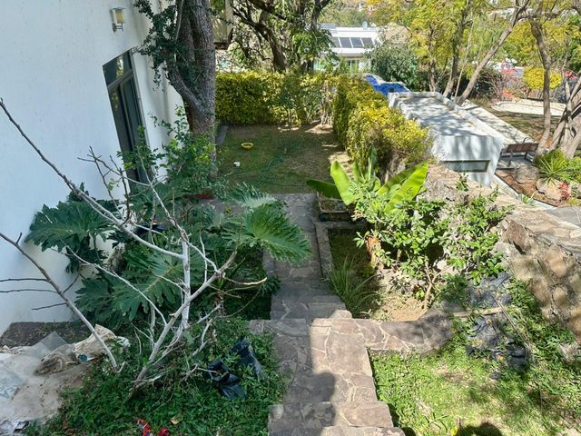 place photo 37