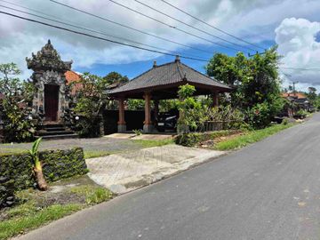 place photo 19