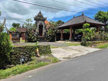 place photo 22