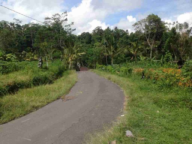 place photo 38