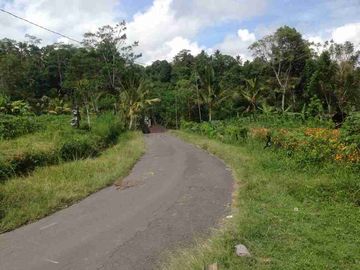 place photo 38