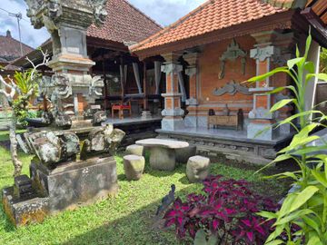place photo 43