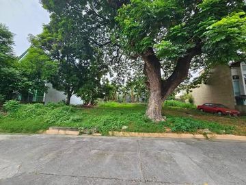 Vacant Residential Lot for SALE in Better Living, Parañaque City