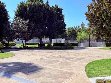 place photo 19