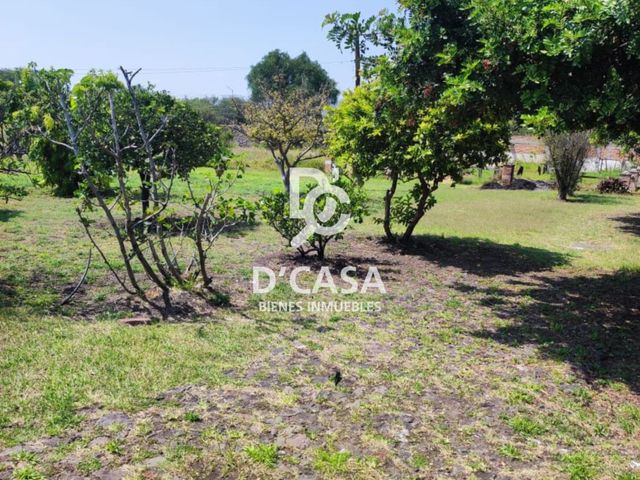 place photo 35