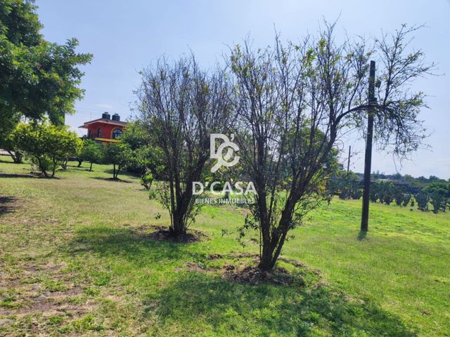 place photo 36
