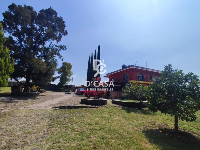 place photo 39