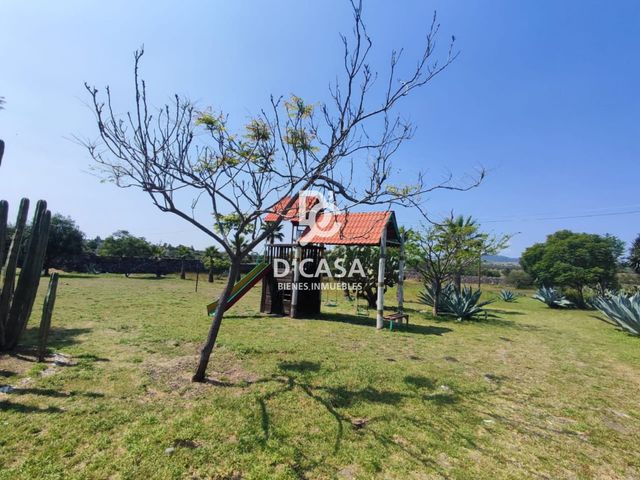 place photo 42