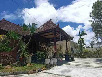 place photo 13