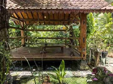 place photo 33
