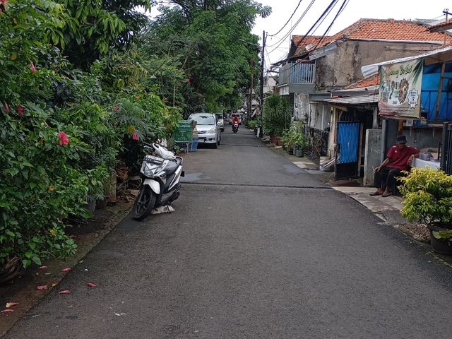 place photo 3