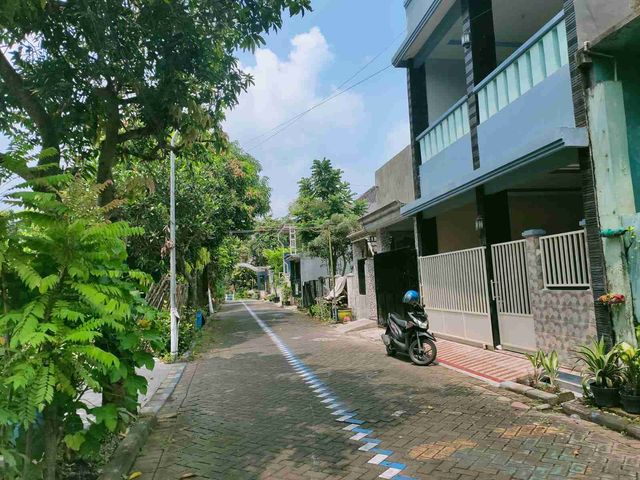 place photo 12