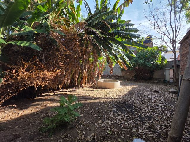 place photo 14