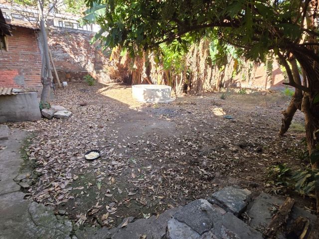 place photo 26