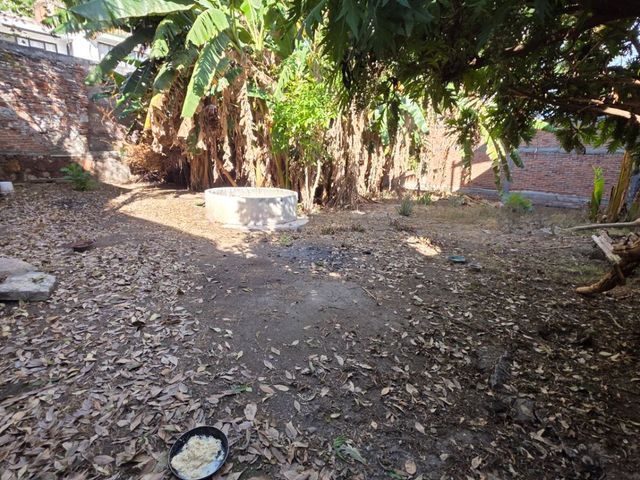 place photo 27