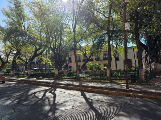 place photo 23