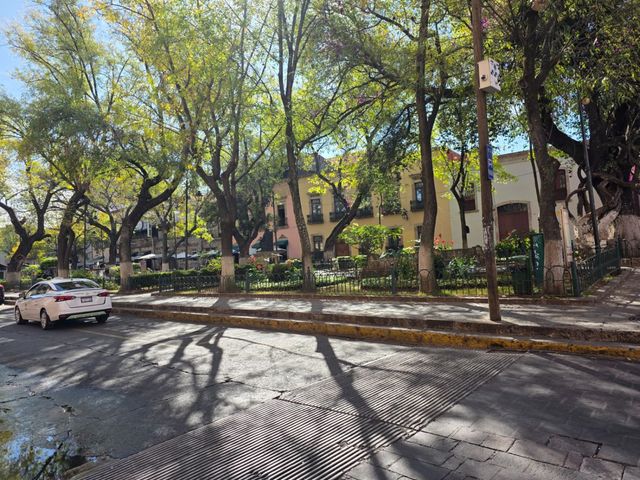 place photo 24