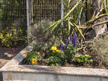 place photo 67