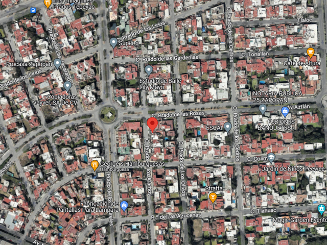 place photo 10