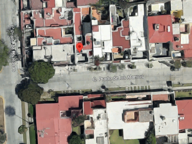 place photo 11