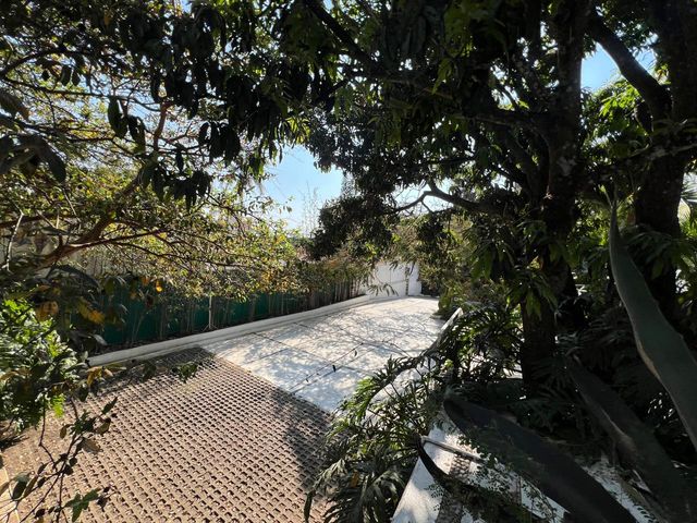 place photo 41