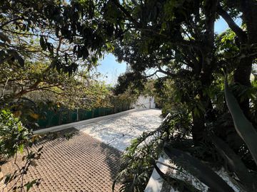 place photo 41