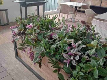 place photo 24