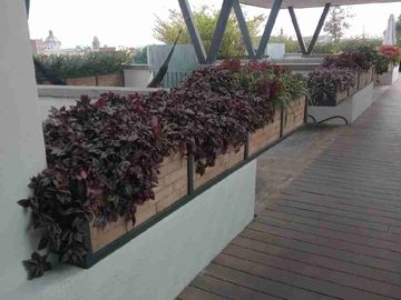 place photo 28