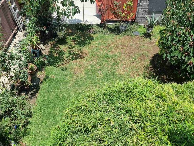place photo 23