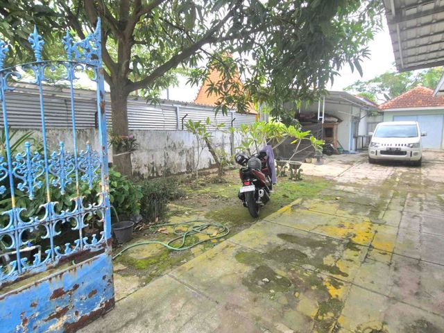 place photo 14