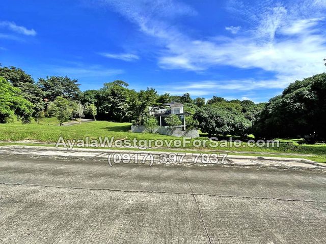 place photo 19