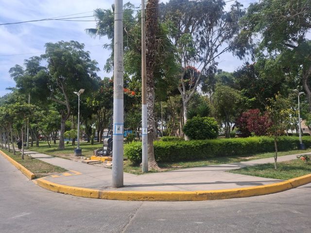place photo 21