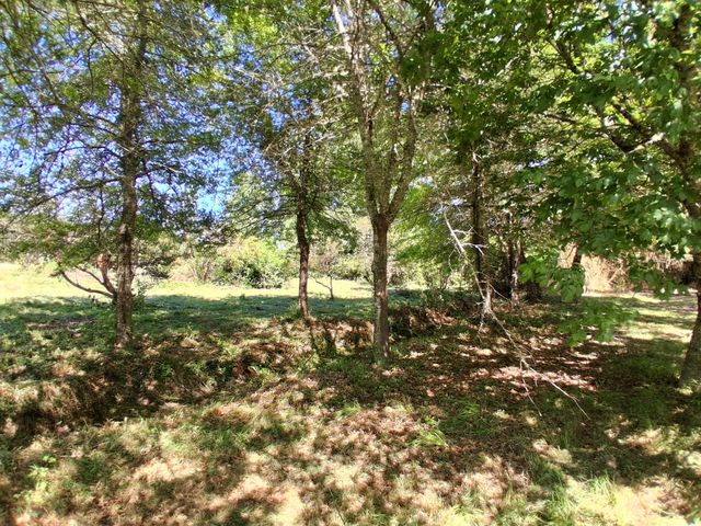 place photo 28