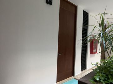 place photo 59